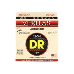 DR Veritas VTA-12